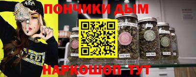 шишки Владимир