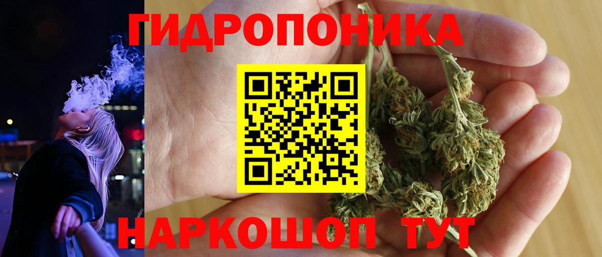 Каннабис индика  Бошки марихуана индика  Бошки марихуана индика  Вход с VPN  Боровичи 